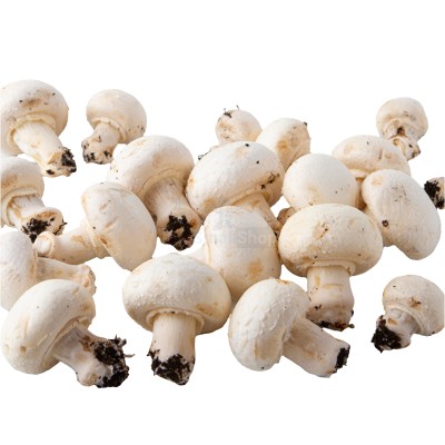 Шампиньоны свежие 500 г - купить в Малом Шаплаке